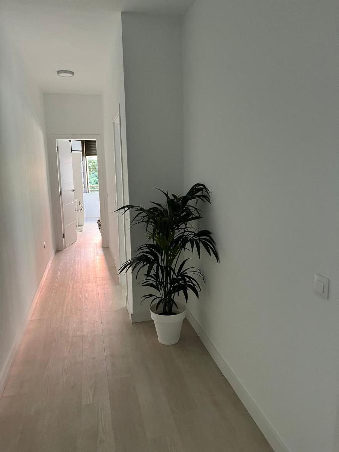 Tantulia Callao 57 Aptartamento 5Hab Centro De La Capital En Tenerife 圣克鲁斯-德特内里费 外观 照片